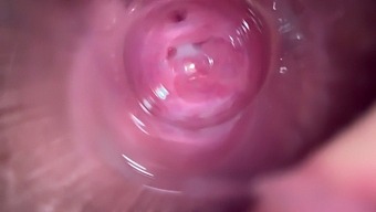 Close-Up Of A Young Girl'S Vagina Getting Penetrated On Camera